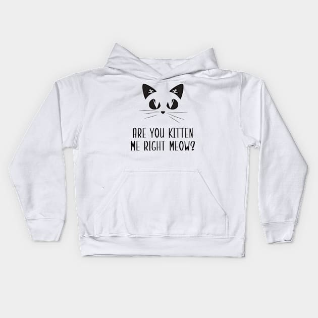 Are You Kitten Me Right Meow Kids Hoodie by Health